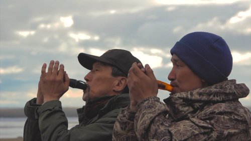 Охота на пролетного гуся в Центральной Якутии