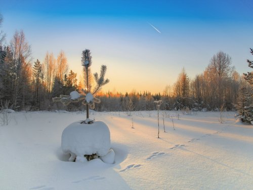 следы на снегу