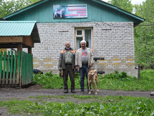 Чувашия "впереди" России всей.