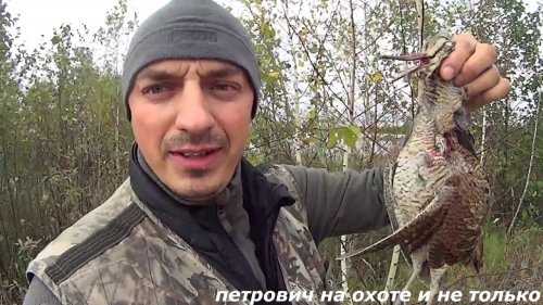 Охота на утку. Вечёрка. Добыл вальдшнепа. Отличный лёт.duck hunting 2018