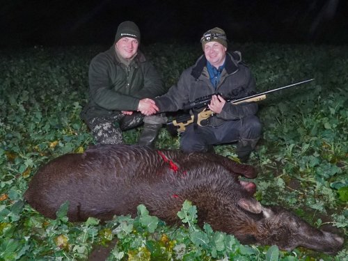 Охота на лося в Беларуси