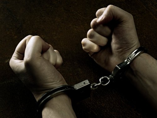 Крупное браконьерство в Ордынском районе