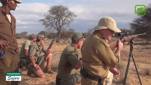 Охота на льва в ЮАР. Точные выстрелы.