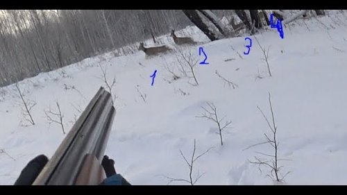 Охота. 4 косули на 2 патрона.  Hunting. 4 roe deer on 2 cartridges.