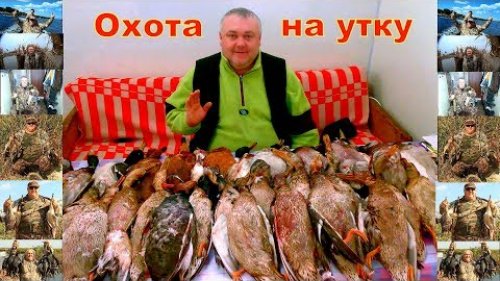 Охота на утку и бекаса
