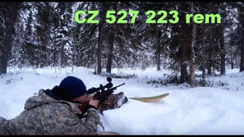 Пристрелка CZ 527 223 rem. Поездка на аэросанях.