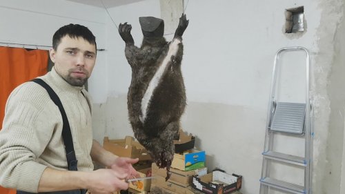 После охоты на бобра. Тестим Якутский нож. Смотрим что творит пуля ШШ.