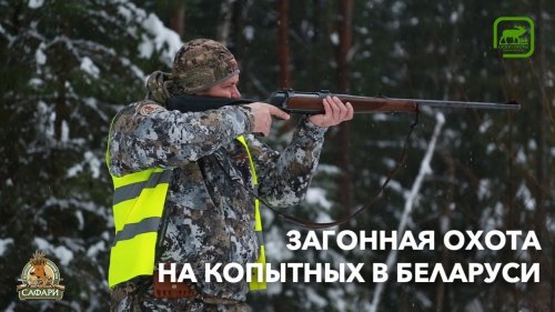 Загонная охота на копытных в Беларуси