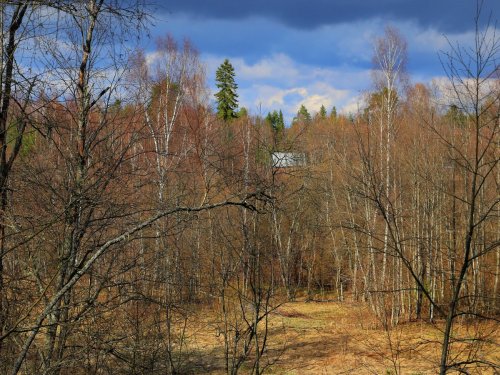 Весна. Новгородская область