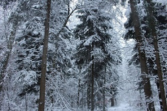 Судьба охотаря.