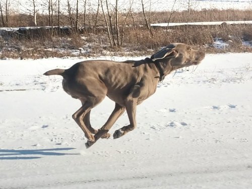 Разминаемся.