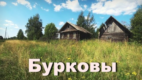 Нежилая деревня Бурковы . Кировская область. Две улицы домов.
