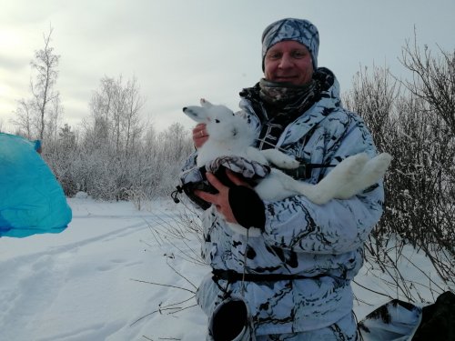 Зайчишка, первый в новом году!