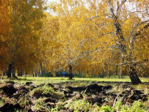 Осенние пашни....