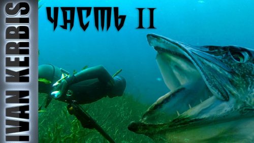 «Тувинское сафари на щуку» | Подводная охота в Туве (часть 2)
