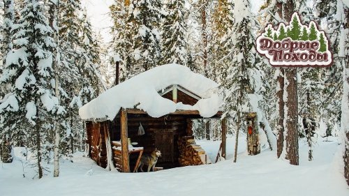 ПОХОД В ЛЕС В ИЗБУ С БАРМАЛЕЕМ.