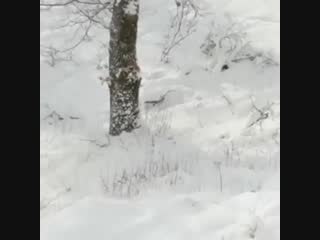 Вид из окна
