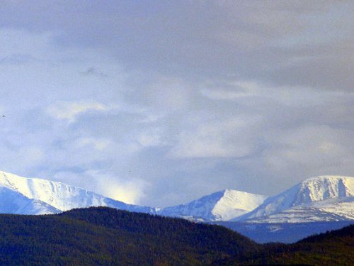 Чёрный   крест
