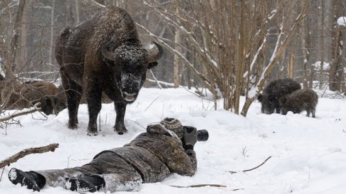 Приколы на охоте. Подборка точных и не удачных выстрелов!