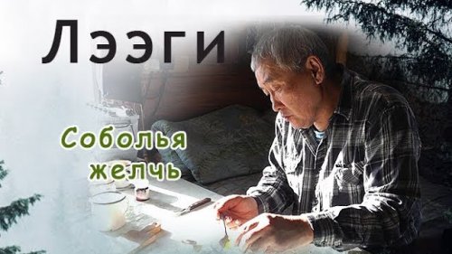 Соболья желчь, как народное средство.