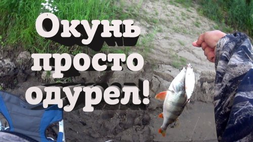 Рыбалка на фидер или лещи и окуни ломают мои палки!