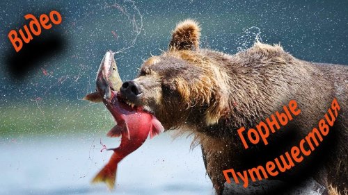 Видео о рыбалке в Горном Алтае. Труднодоступные места