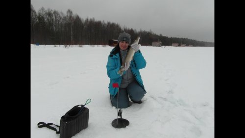 ЛОВЛЯ НА ЖЕРЛИЦЫ В АПРЕЛЕ ИЛИ ВЕЛИКАЯ ТАЙНА СИНОПТИКОВ. good winter fishing