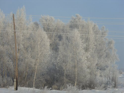 Утренний пейзаж.