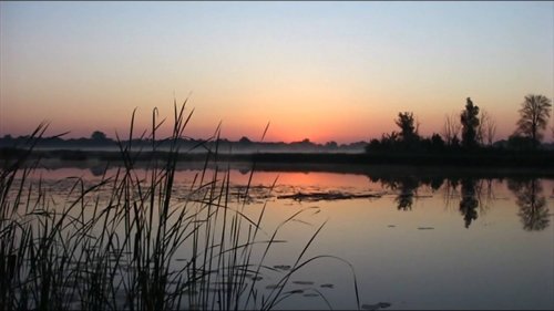 Поклевка крупной рыбы или утро на рыбалке