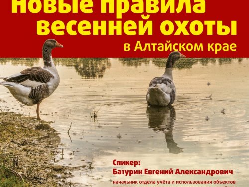 О новых правилах открытия весенней охоты на дичь в Алтайском крае