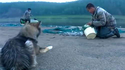 Как сегодня живут Эвенки в самом отдаленном поселке Иркутской области