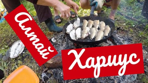 Жарим хариуса на рыбалке в Горном Алтае на озере Тальмень