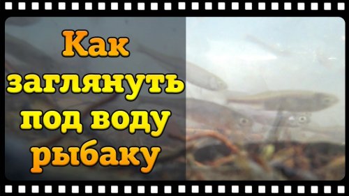 Как заглянуть под лёд с помощью обычного телефона и экшн-камеры