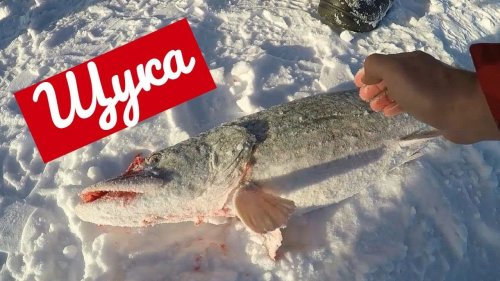 Щука 3800 на Обском море. Зимняя рыбалка в Спирино