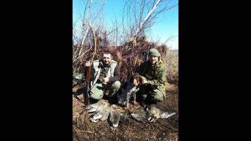 Открытие охоты на гуся 2019.Goose hunting 2019