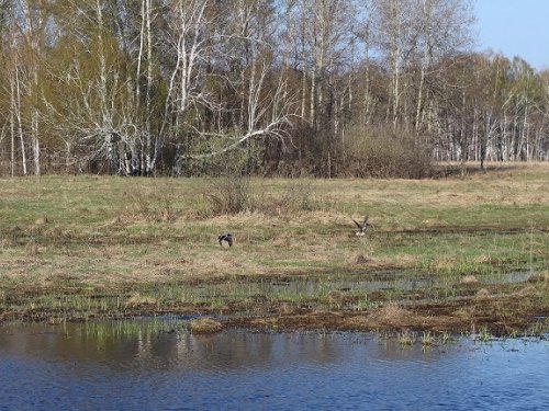 Всё повторится.