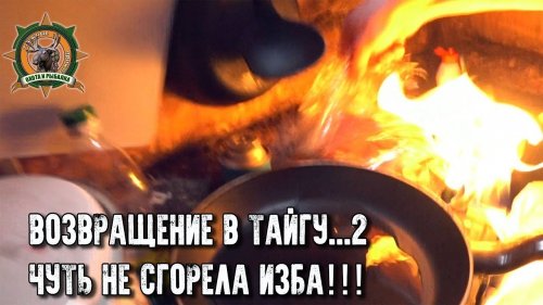 Возвращение в тайгу...2/ЧП в избе/Выдра хозяйничает