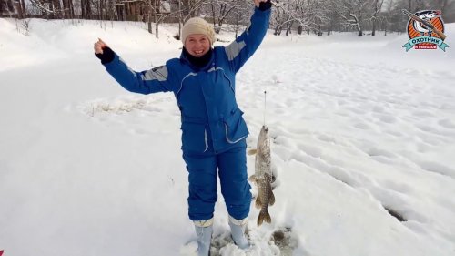 Супруга поймала первую в жизни щуку