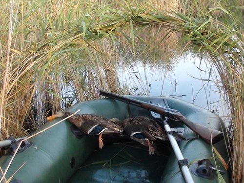 Будем живы,- не помрём.