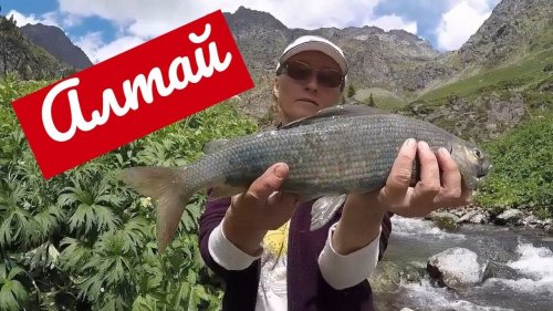 Лучшая Рыбалка в Горном Алтае летом Приглашаем Рыбаков