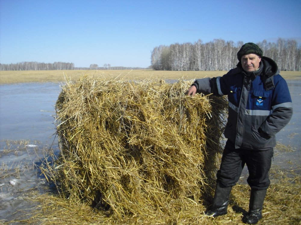 Готов во все оружие!