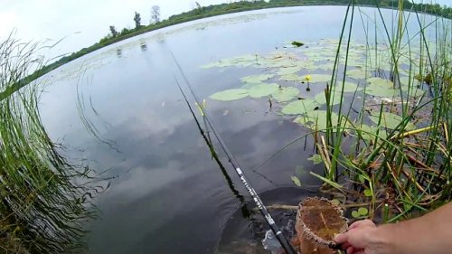 Ловля на поплавочную удочку .Секреты ловли!