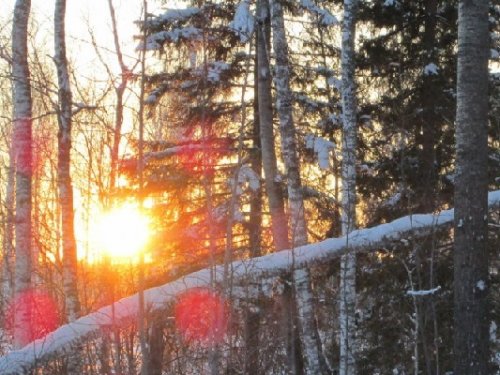 ,,Возвращение,,.