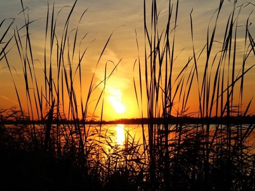 Крайняя охота осени.