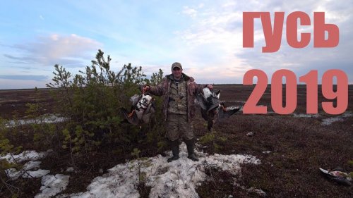 ОХОТА НА ГУСЯ ВЕСНА 2019 .МЕЧТА ОХОТНИКА.
