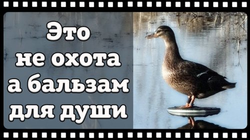 Классика русской охоты, так должен поохотится каждый охотник.