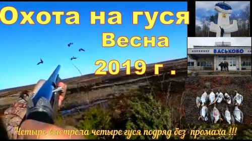 СКОРО на канале