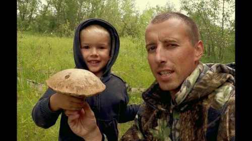 Поход за Грибами! Дождя нет, а Грибы есть. Опасность в лесу. Комары. Отдых на Волге.