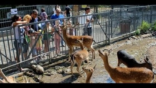 Поездка в Большереченский зоопарк. Омская область + Пикник...