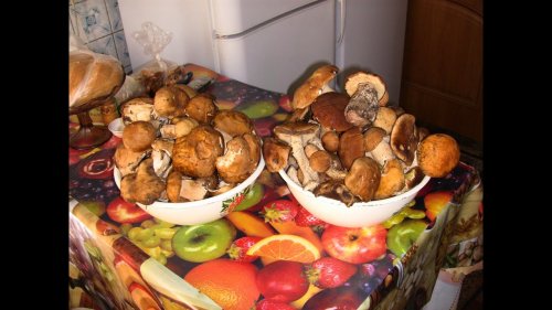За былыми грибами.Грибные места!